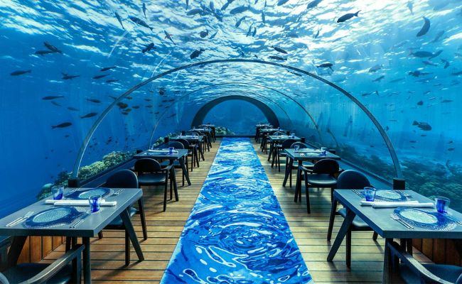 The World's Most Expensive Destinations Fine Dining Beneath the Sea